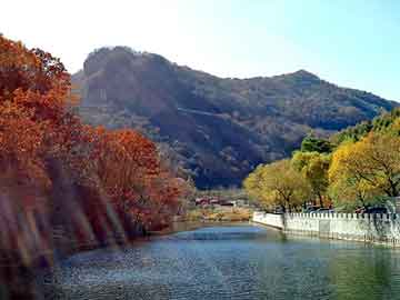 管家婆黑白马报图库，三板虎